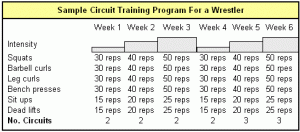 circuit-training-programs-for-wrestlers